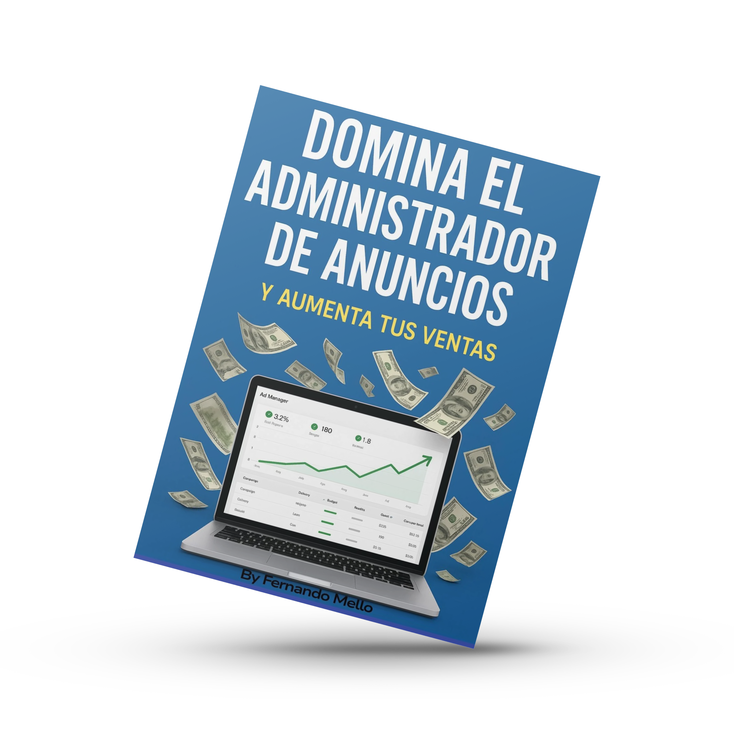 Domina el Administrador de Anuncios